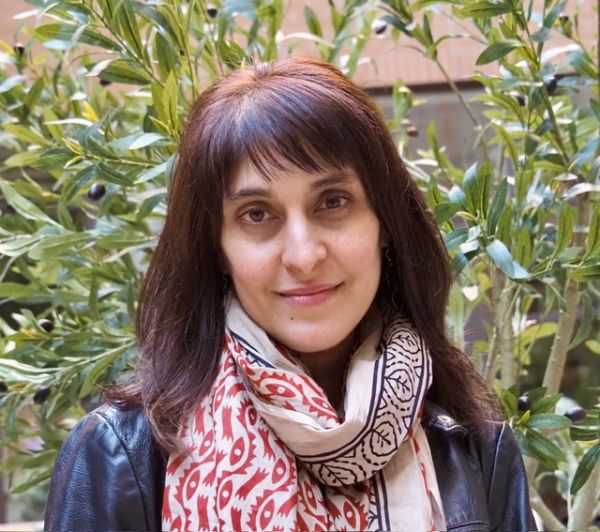 MERIP, BRISMES, SeSaMO Iran Event Series 