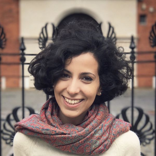 BRISMES Early Career Development Scholarship