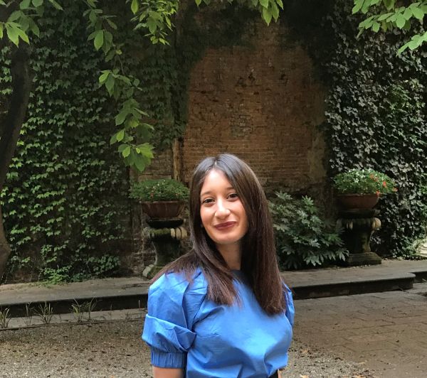 BRISMES Early Career Development Scholarship