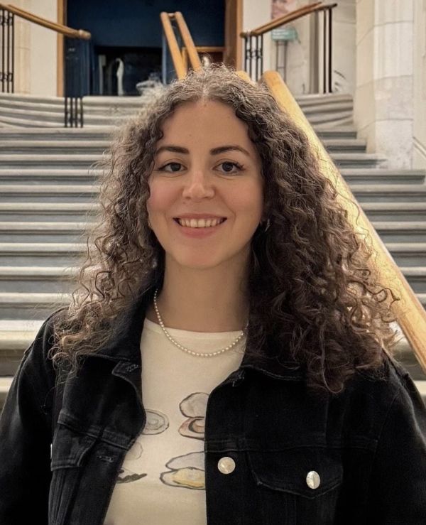 BRISMES Early Career Development Scholarship