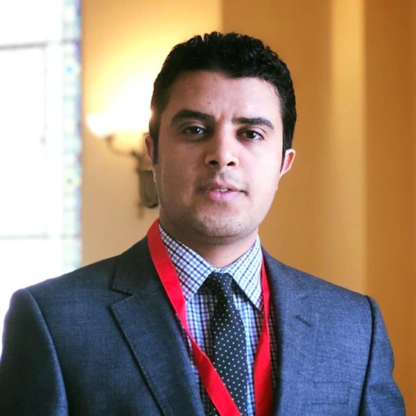 BRISMES Early Career Development Scholarship